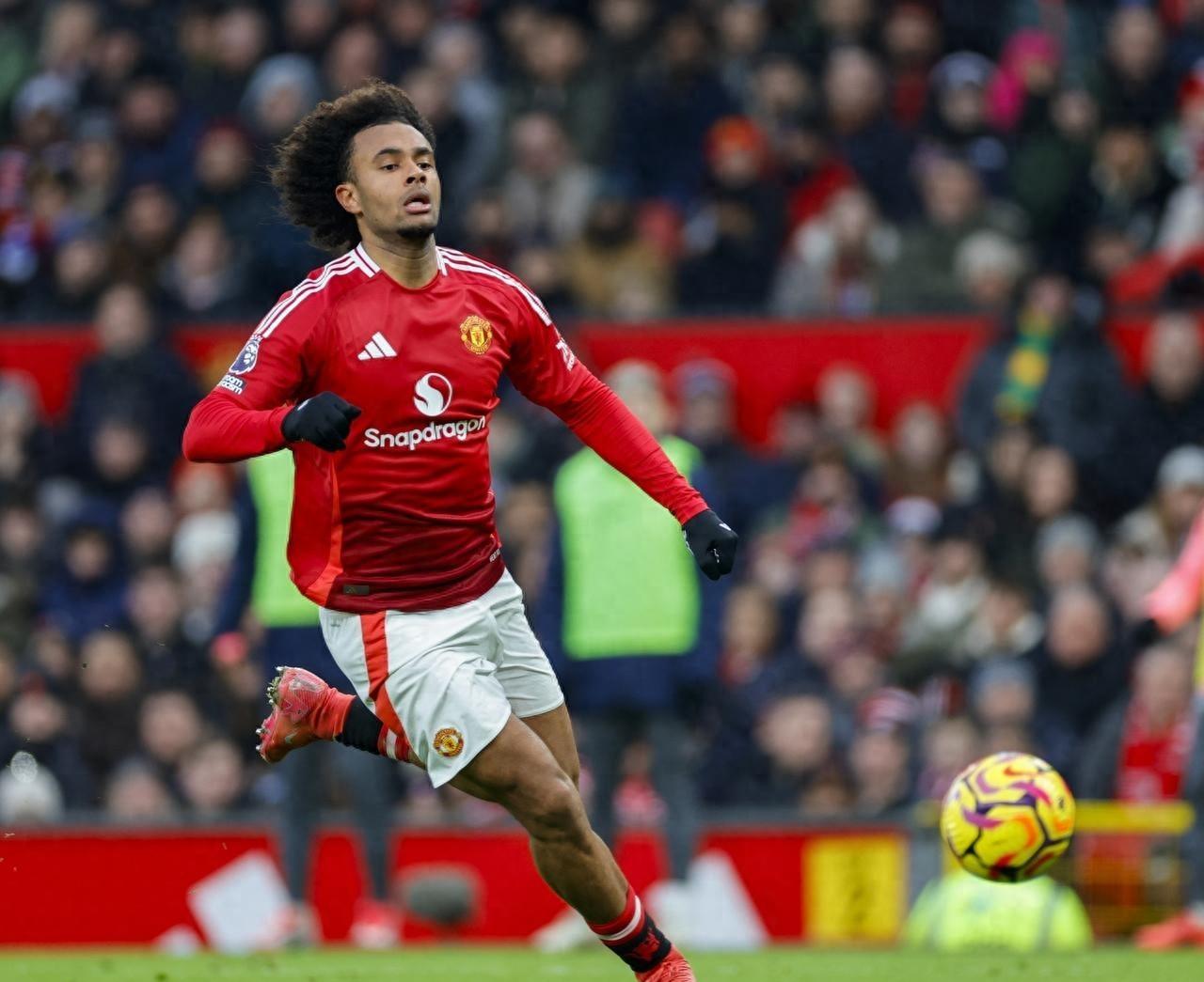 关于布莱顿主场险胜,球迷欢呼胜利到来的信息 关于布莱顿主场险胜,球迷欢呼胜利到来的信息